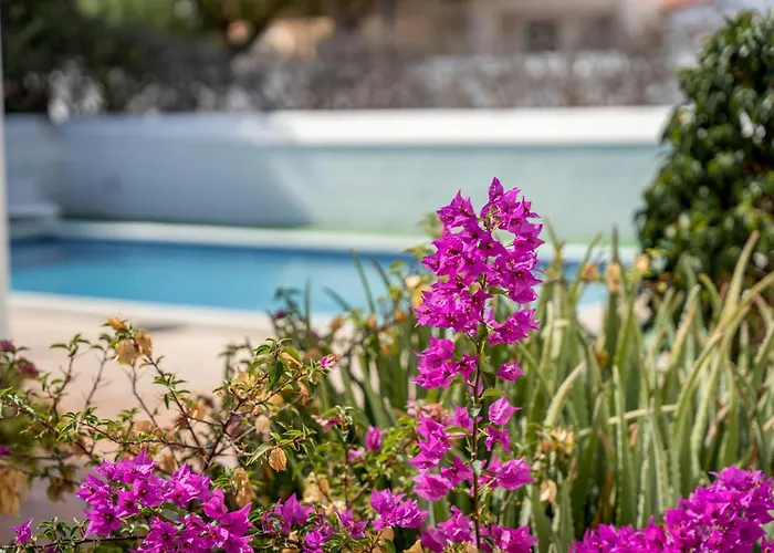 3-bedroom In Golf Del Sur * סן מיגל דה אבונה